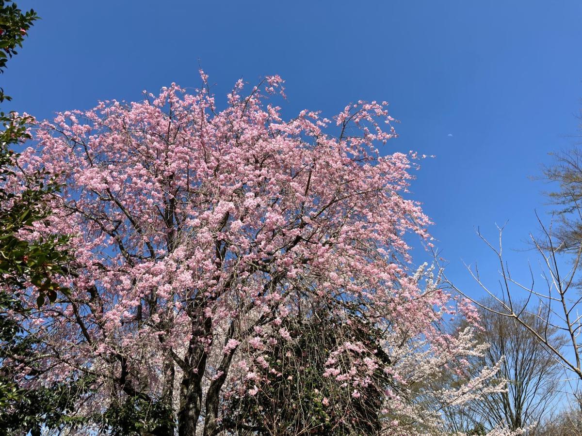 お宿でん吉 Minamiaso Exterior foto