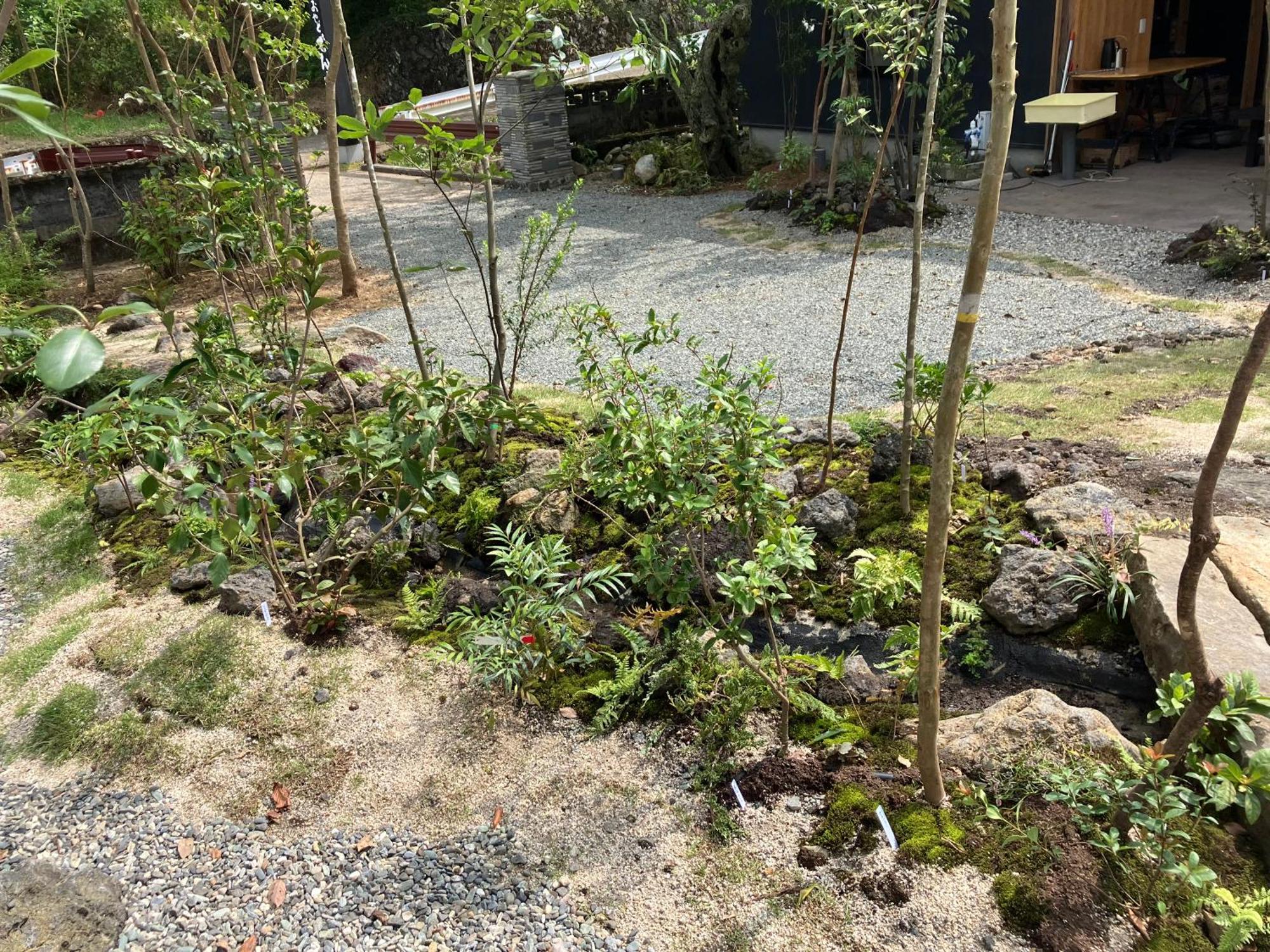 お宿でん吉 Minamiaso Exterior foto